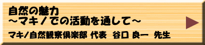 11月17日（木）午前