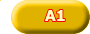 A1 